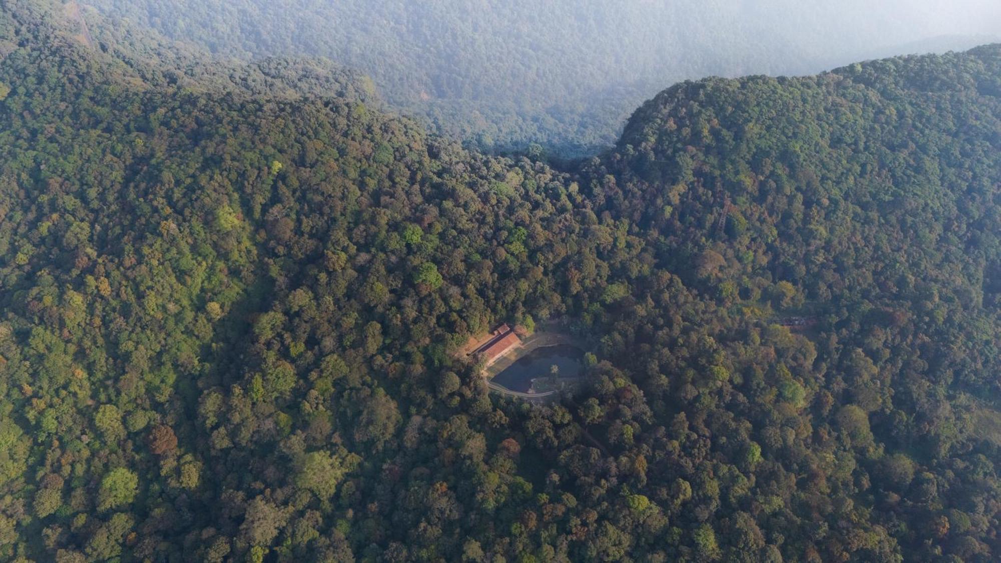 Jungle Park Resort By Greenescapes فيثيري المظهر الخارجي الصورة